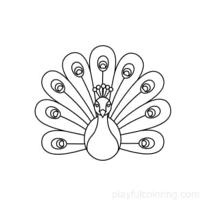 Folk peacock motif outline with simple eye feathers, centered, graceful curves.